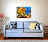 Metal Panel Print, Photo Of A Coral Colony